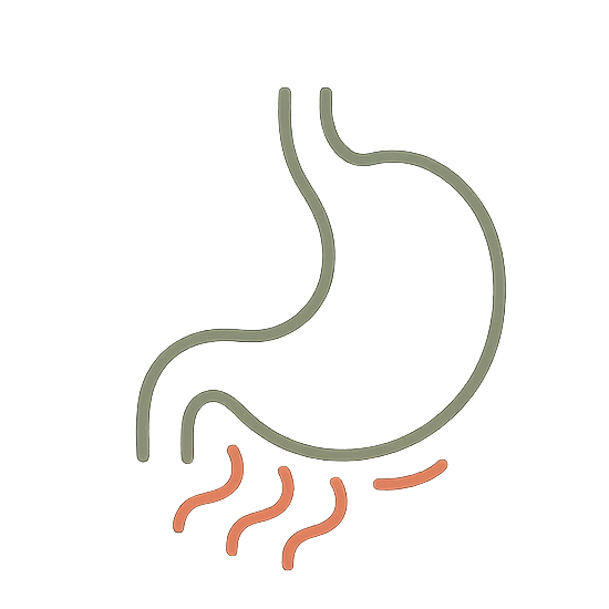Digestive Discomfort
